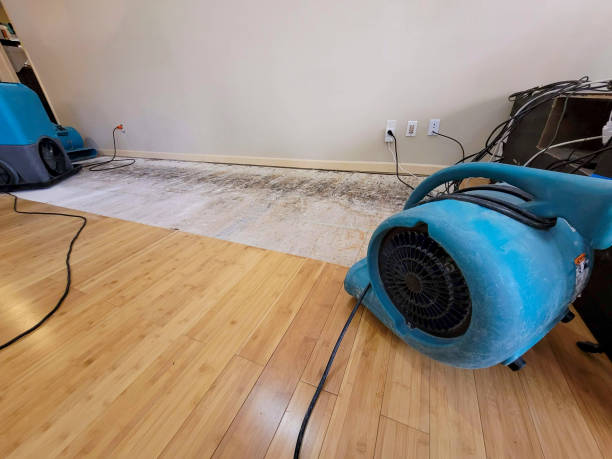 Professional Water Removal technician working in Diamond, OH